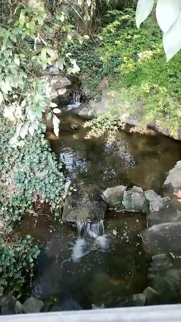 大三阳是怎么发生的